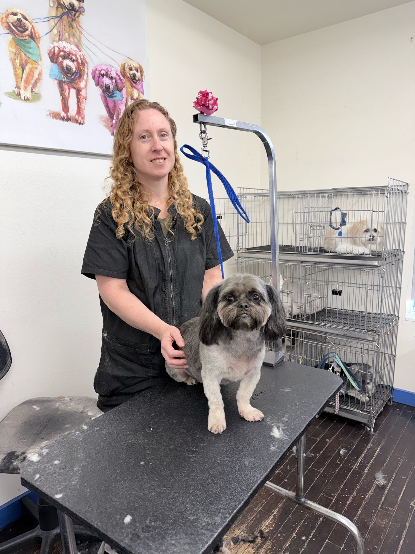 Groomer smiling with a freshly styled small dog on the table